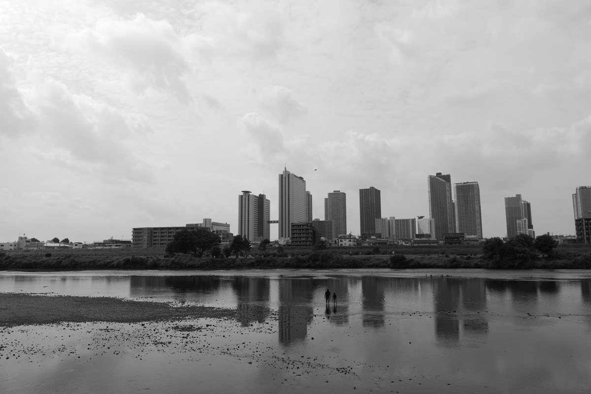 f:id:Futu:20201208235342j:plain