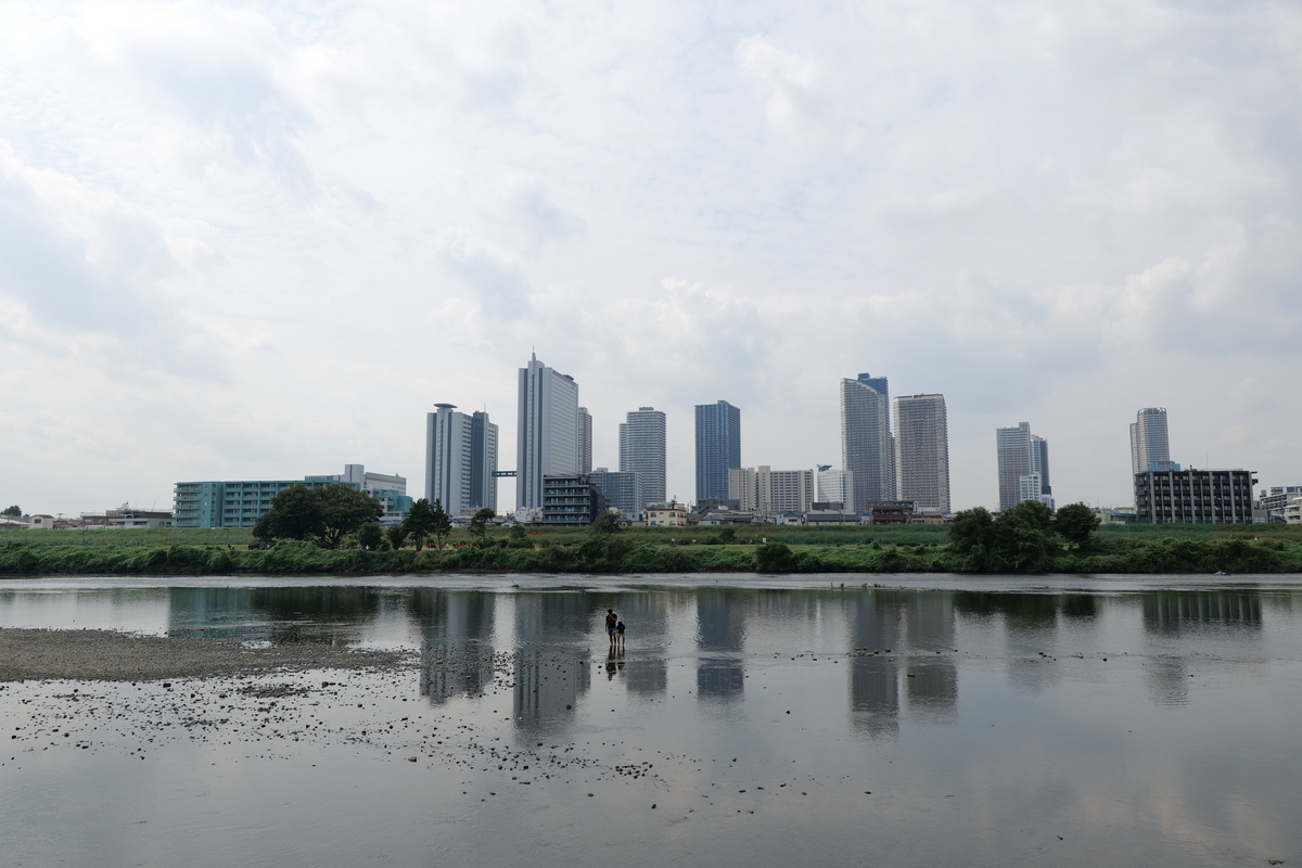 f:id:Futu:20201208235401j:plain