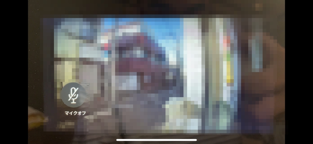 f:id:Fuu-min:20210109000800j:plain