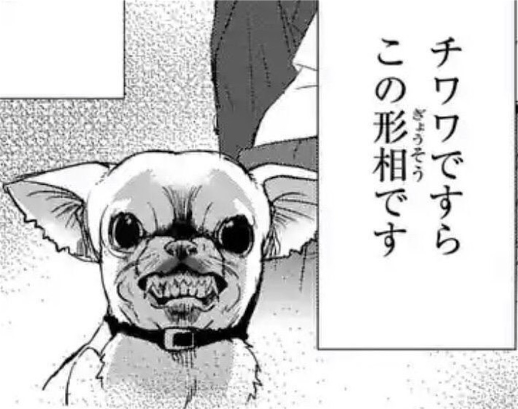 f:id:Fuyu_yurei:20240820183944j:image