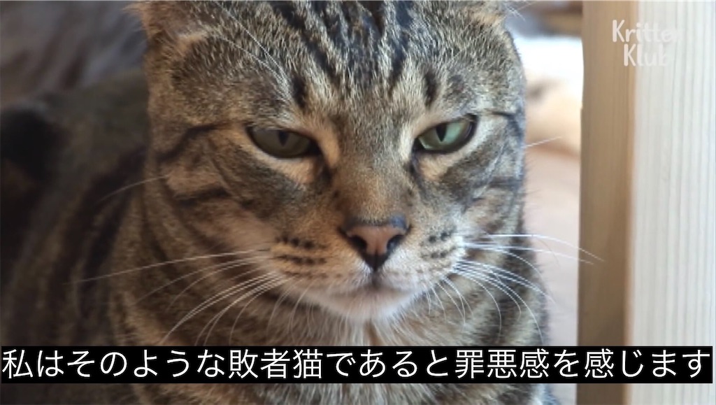 f:id:Fuyu_yurei:20240820184501j:image