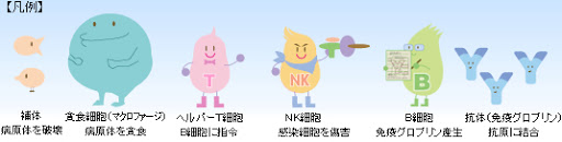f:id:G-SELF:20200904161834j:plain f:id:G-SELF:20200904161834j:plain