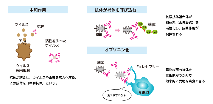 f:id:G-SELF:20200904223017p:plain f:id:G-SELF:20200904223017p:plain