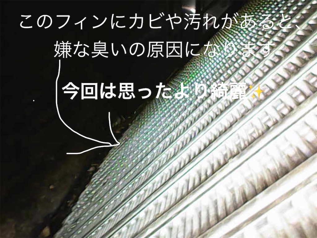 f:id:G-STYLE0113:20250707144556j:image