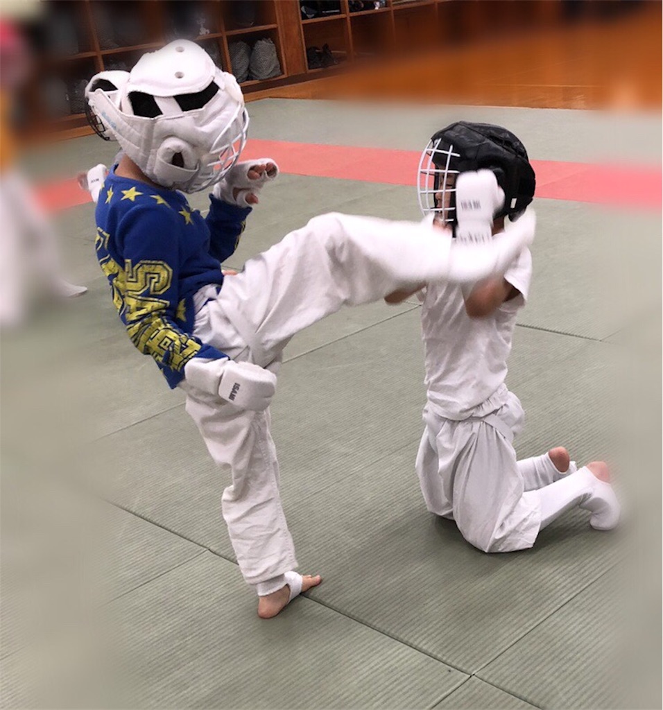 f:id:GAKUINKAI:20180413220537j:image