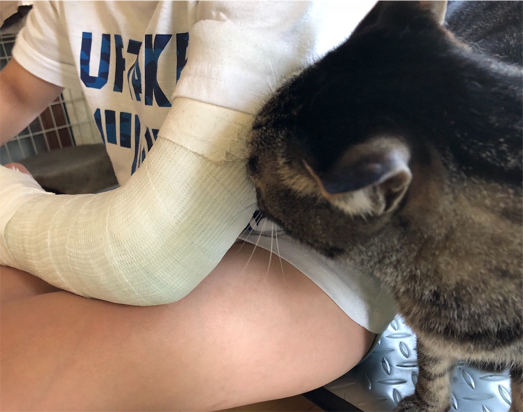 f:id:GAKUINKAI:20180510144658j:image