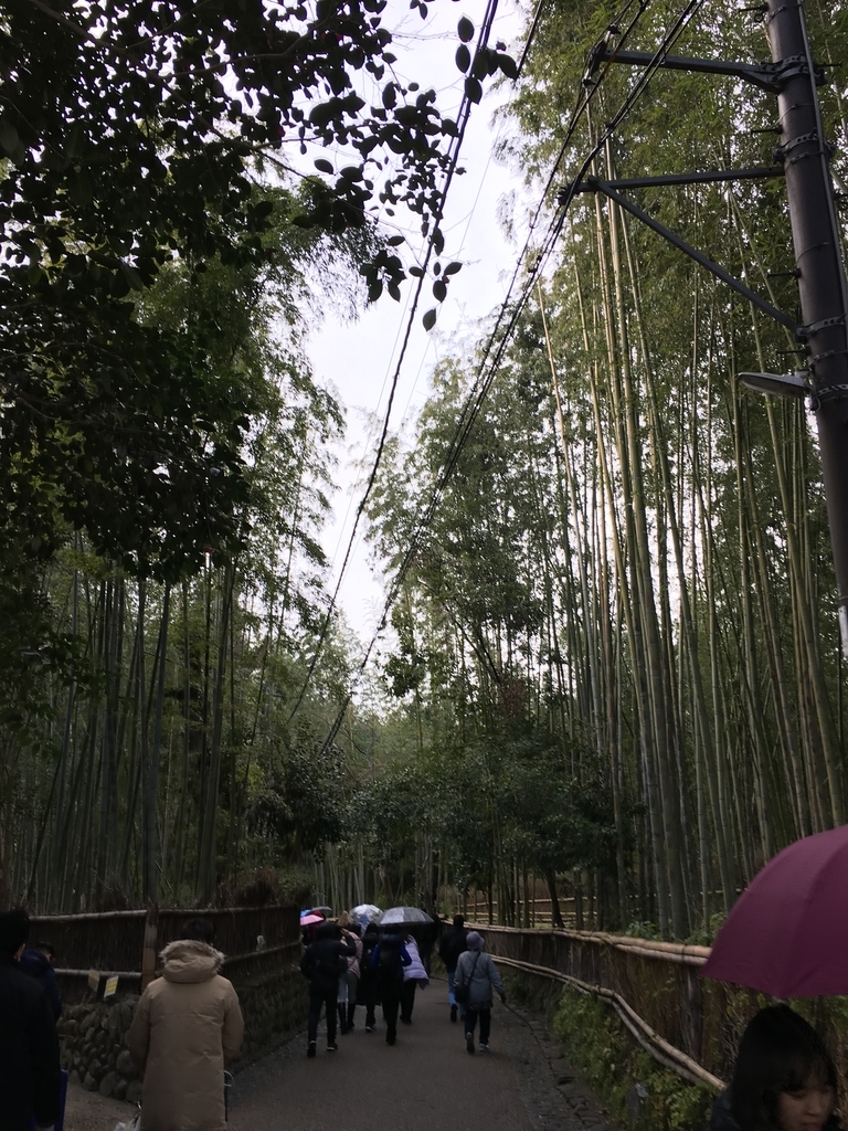 f:id:GALAXYROVERS-KEN:20190106130459j:plain