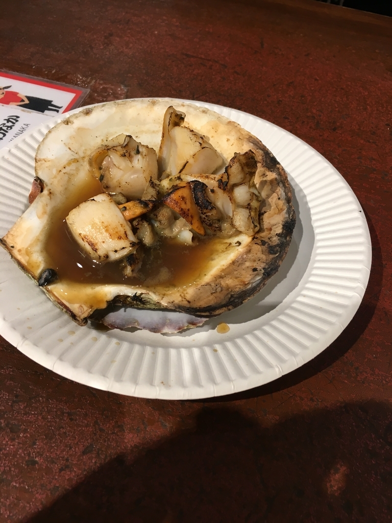 f:id:GALAXYROVERS-KEN:20190106131630j:plain