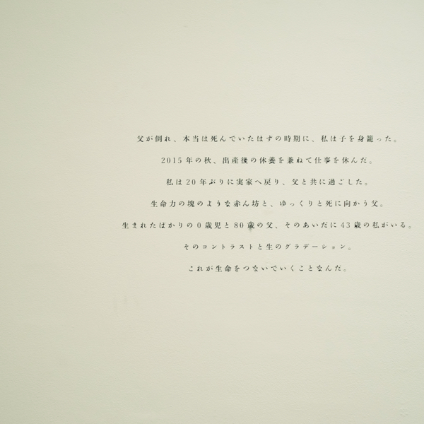 f:id:GANTHEBROW:20170513195016j:plain