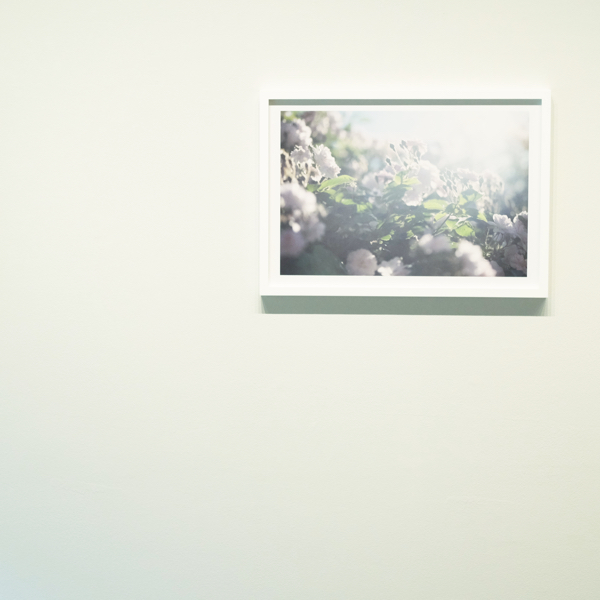 f:id:GANTHEBROW:20170513195214j:plain