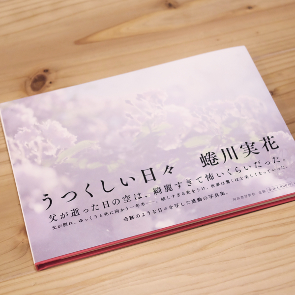 f:id:GANTHEBROW:20170513200307j:plain