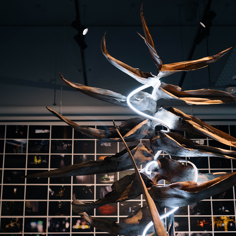 f:id:GANTHEBROW:20190127204706j:plain