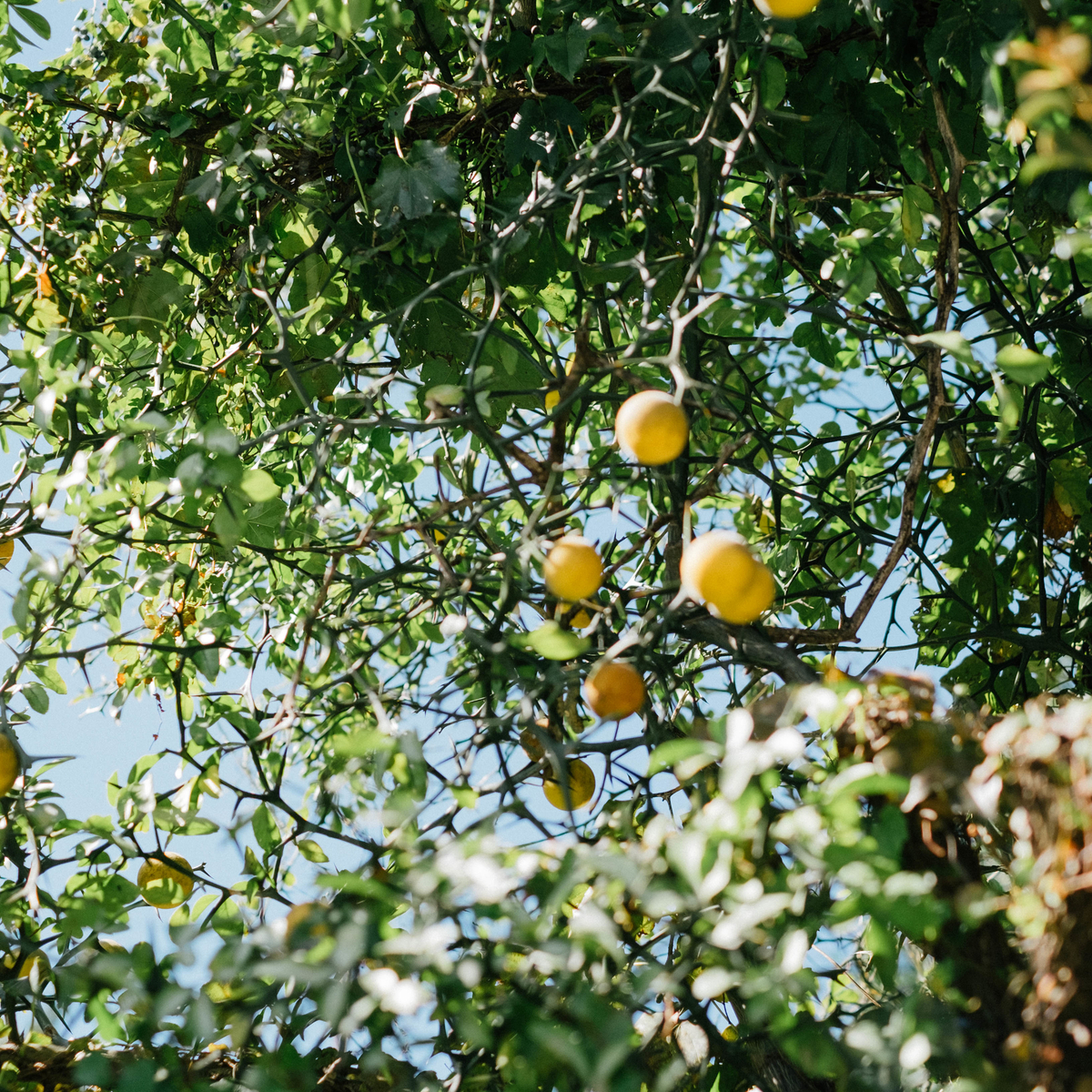 f:id:GANTHEBROW:20190722205646j:plain