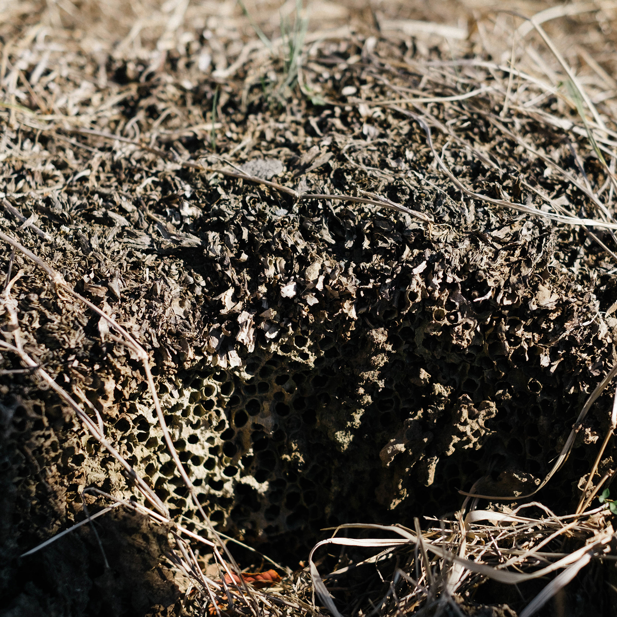 f:id:GANTHEBROW:20190722205751j:plain