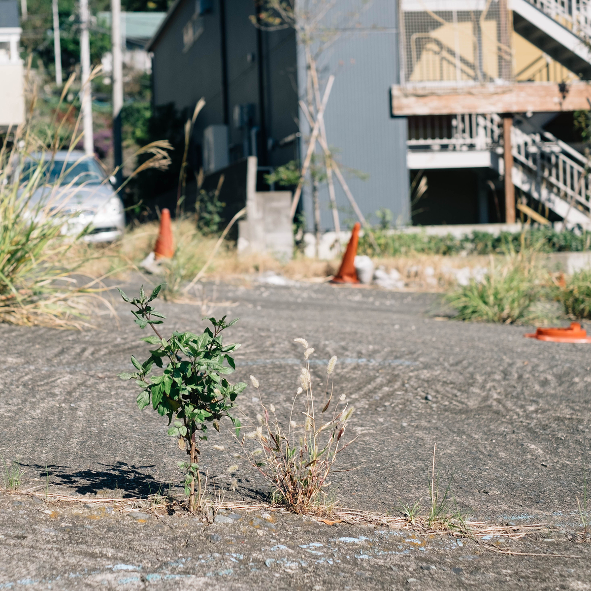 f:id:GANTHEBROW:20190722205838j:plain