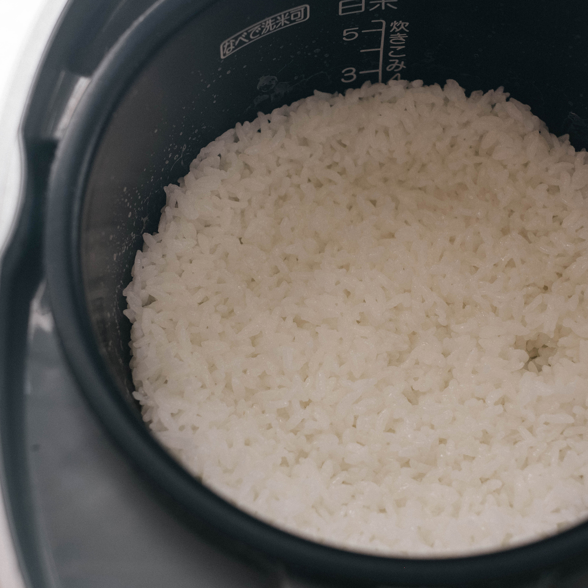 f:id:GANTHEBROW:20200928122308j:plain f:id:GANTHEBROW:20200928122308j:plain