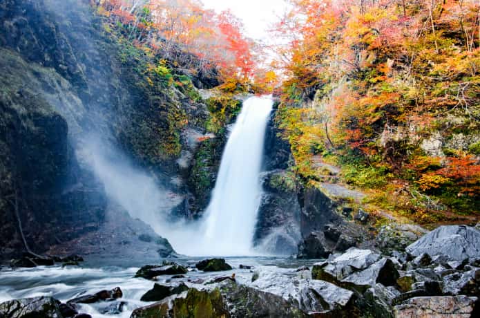 f:id:GATourist:20200710154606j:plain f:id:GATourist:20200710154606j:plain