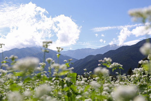 f:id:GATourist:20201013125705j:plain f:id:GATourist:20201013125705j:plain