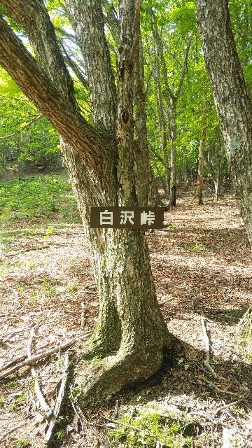 f:id:GD-1919:20240607174435j:image