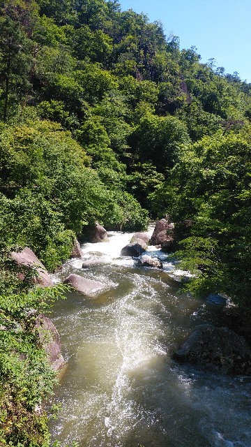 f:id:GD-1919:20240620112114j:image