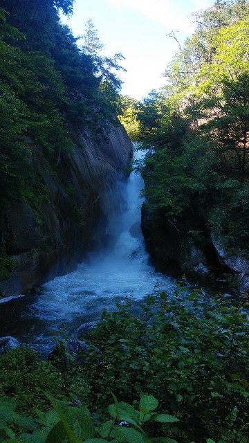 f:id:GD-1919:20240620112603j:image