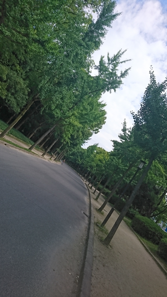f:id:GEKITINTASUKU:20170721220823j:plain f:id:GEKITINTASUKU:20170721220823j:plain