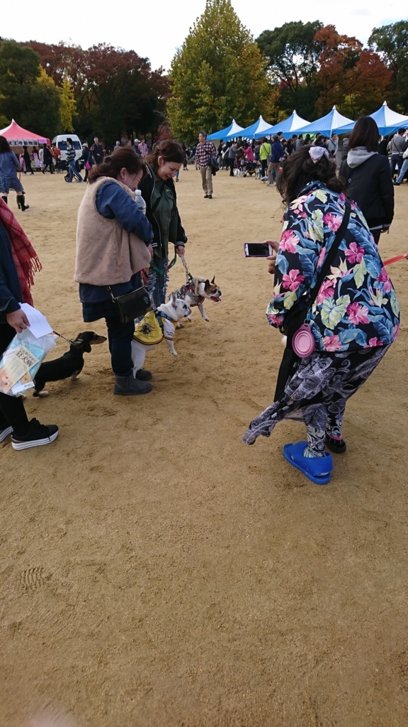 f:id:GEKITINTASUKU:20171112140313j:plain f:id:GEKITINTASUKU:20171112140313j:plain