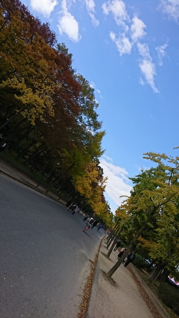f:id:GEKITINTASUKU:20171112140414j:plain f:id:GEKITINTASUKU:20171112140414j:plain