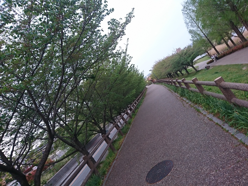 f:id:GEKITINTASUKU2:20180412204238j:plain