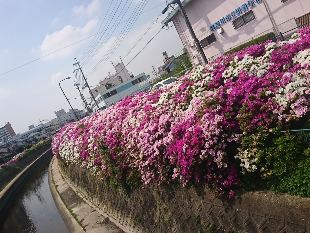 f:id:GEKITINTASUKU2:20180423165557j:plain f:id:GEKITINTASUKU2:20180423165557j:plain
