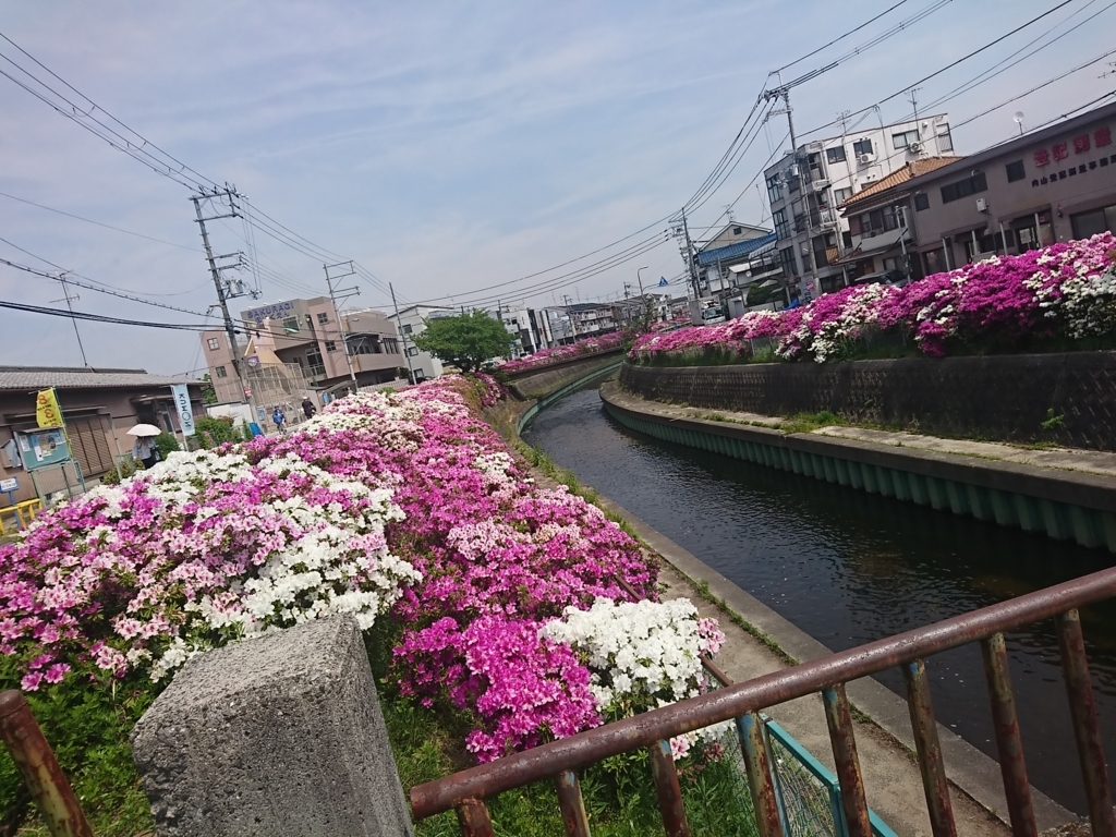 f:id:GEKITINTASUKU2:20180423165638j:plain f:id:GEKITINTASUKU2:20180423165638j:plain