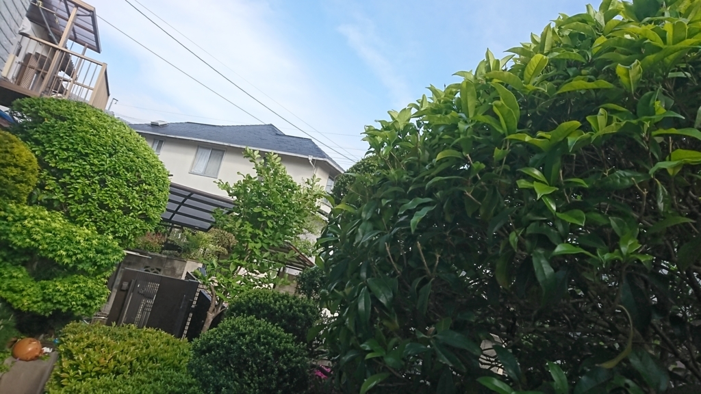 f:id:GEKITINTASUKU2:20180423165914j:plain f:id:GEKITINTASUKU2:20180423165914j:plain