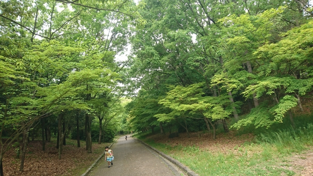 f:id:GEKITINTASUKU2:20180430120059j:plain f:id:GEKITINTASUKU2:20180430120059j:plain