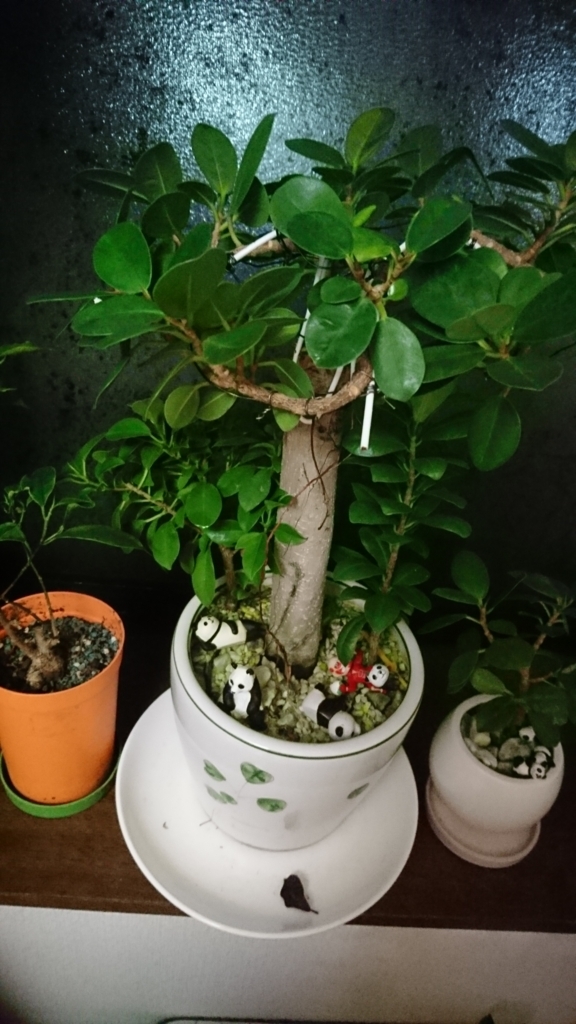 f:id:GEKITINTASUKU2:20180513223748j:plain f:id:GEKITINTASUKU2:20180513223748j:plain