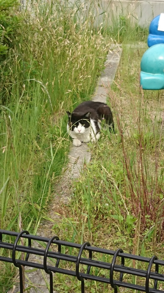 f:id:GEKITINTASUKU2:20180526171332j:plain