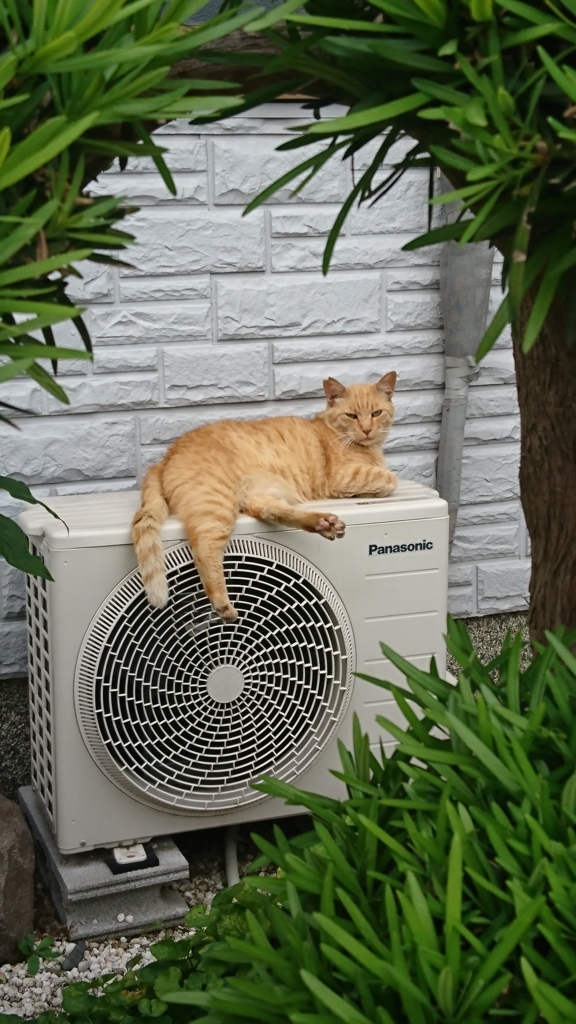 f:id:GEKITINTASUKU2:20180526171407j:plain