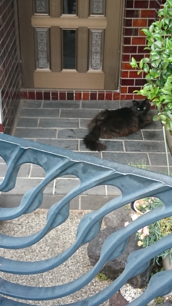 f:id:GEKITINTASUKU2:20180527001643j:plain