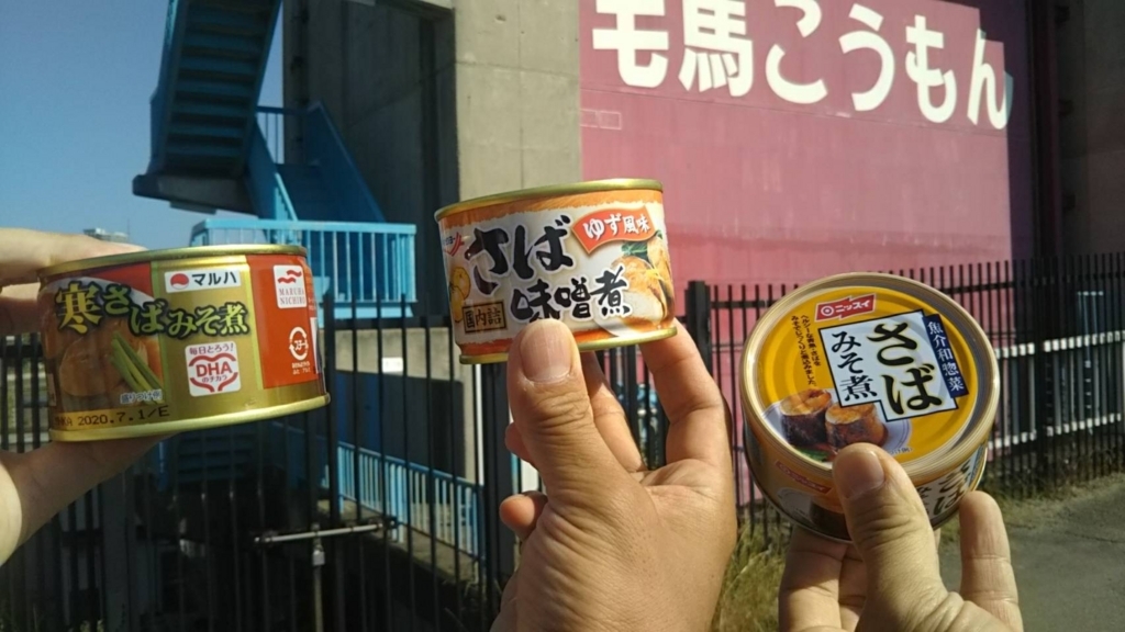 f:id:GEKITINTASUKU2:20180606001359j:plain