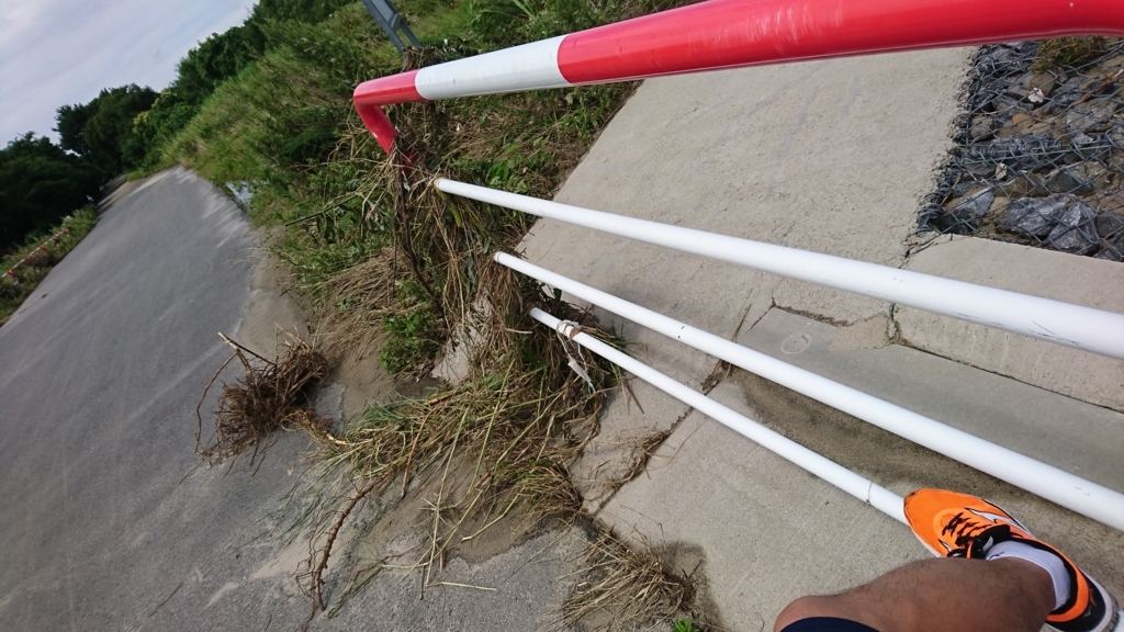 f:id:GEKITINTASUKU2:20180708125446j:plain f:id:GEKITINTASUKU2:20180708125446j:plain