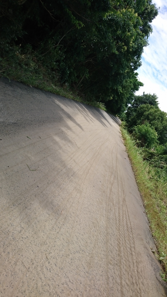 f:id:GEKITINTASUKU2:20180708125532j:plain f:id:GEKITINTASUKU2:20180708125532j:plain