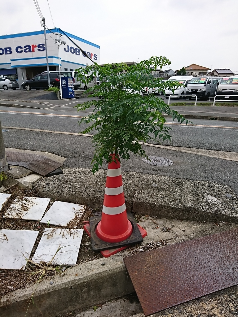 f:id:GEKITINTASUKU2:20180906125046j:plain