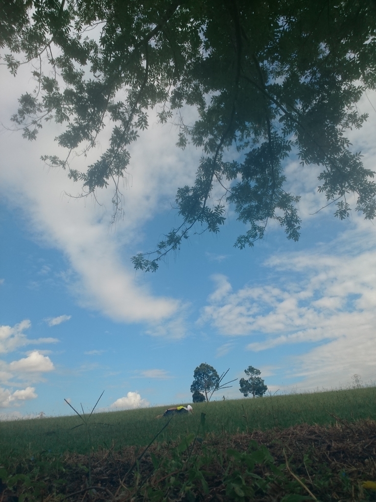 f:id:GEKITINTASUKU2:20181014131423j:plain f:id:GEKITINTASUKU2:20181014131423j:plain