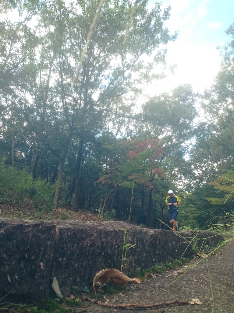 f:id:GEKITINTASUKU2:20181014131452j:plain f:id:GEKITINTASUKU2:20181014131452j:plain