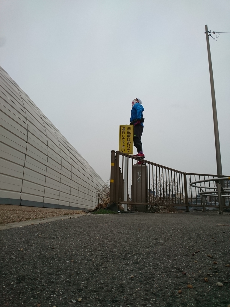 f:id:GEKITINTASUKU2:20190211155608j:plain f:id:GEKITINTASUKU2:20190211155608j:plain