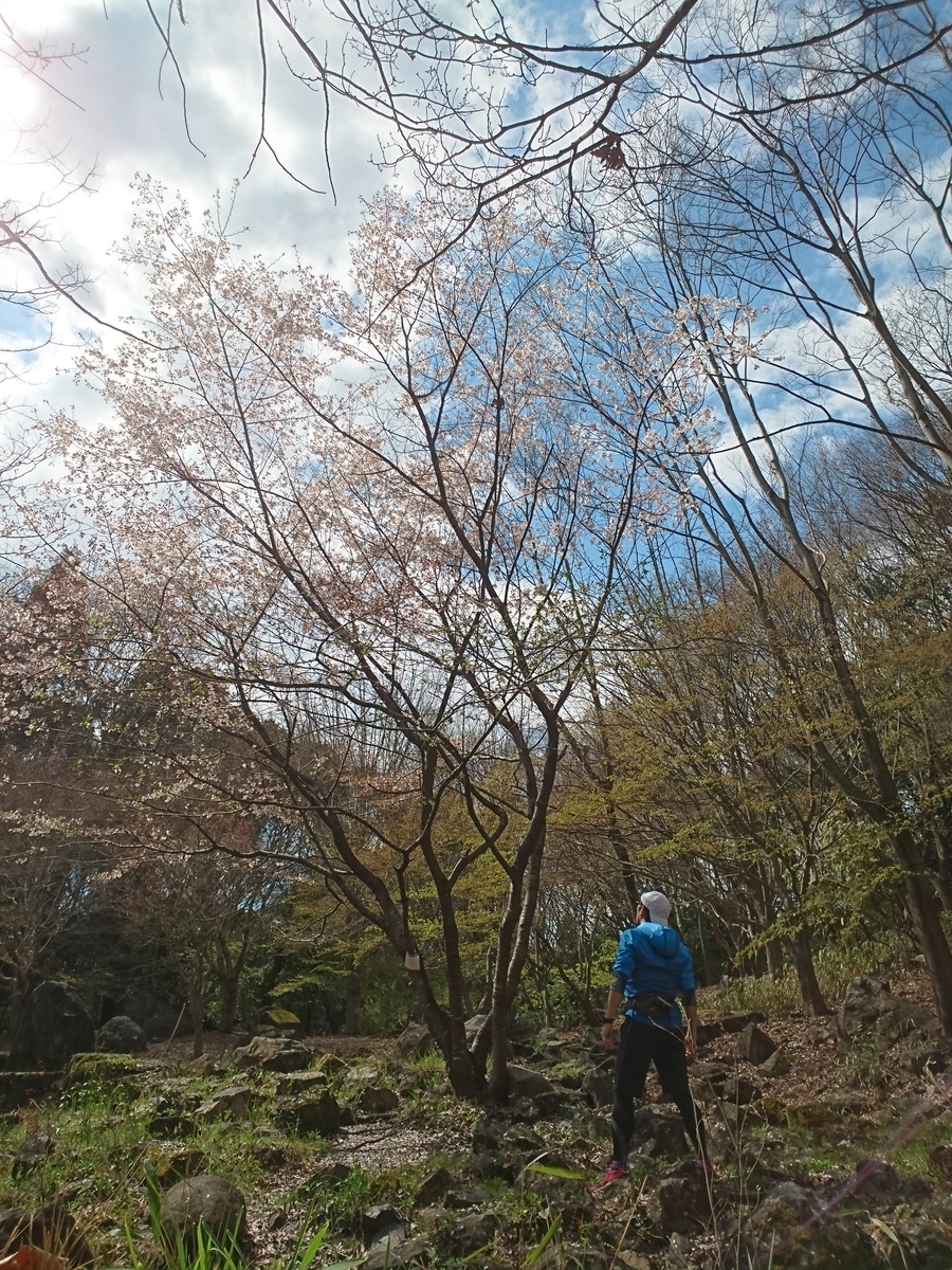 f:id:GEKITINTASUKU2:20190331121341j:plain