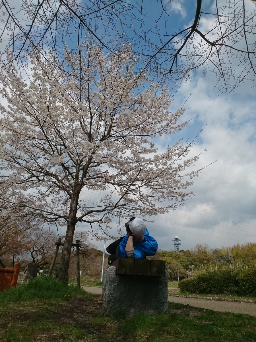 f:id:GEKITINTASUKU2:20190331121422j:plain