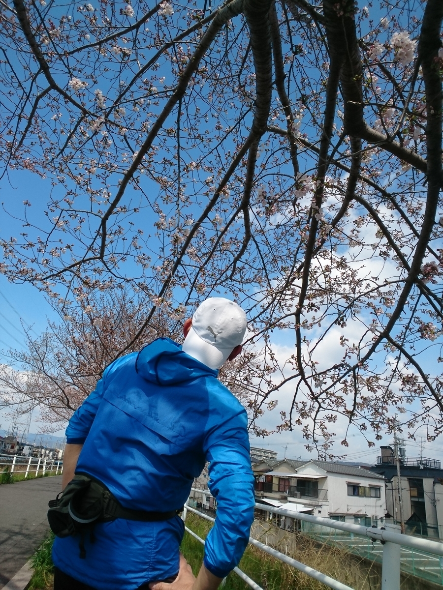 f:id:GEKITINTASUKU2:20190331121459j:plain