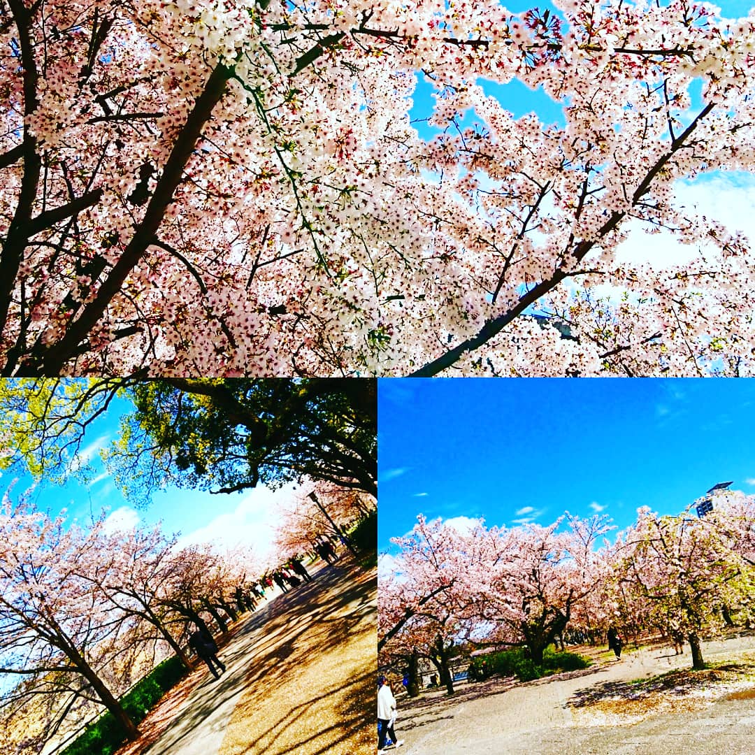 f:id:GEKITINTASUKU2:20190411163530j:plain