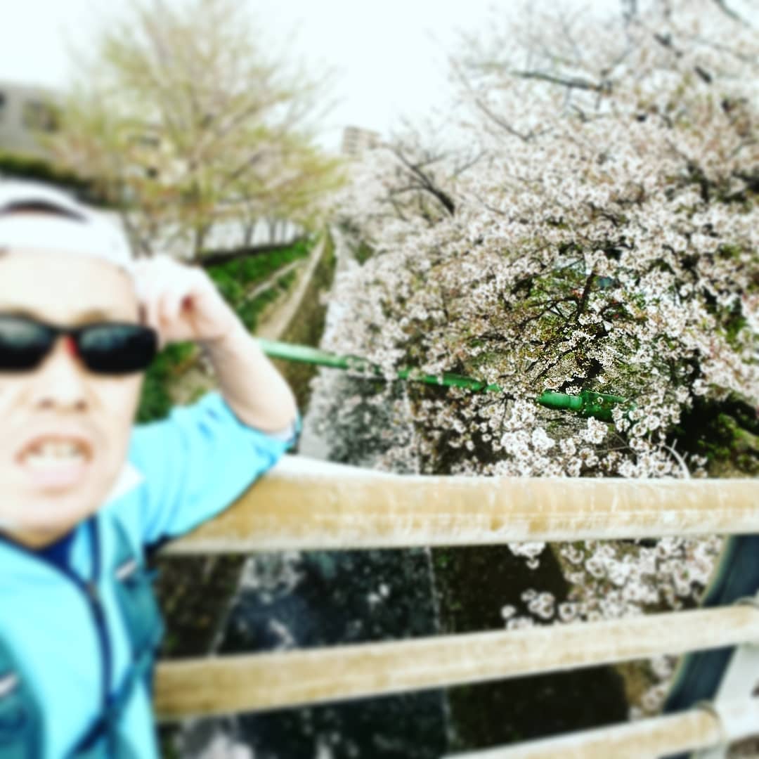 f:id:GEKITINTASUKU2:20190413182129j:plain