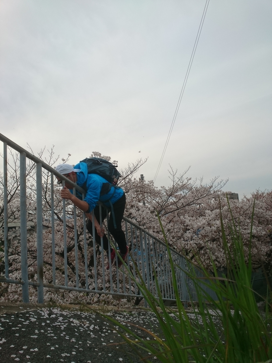 f:id:GEKITINTASUKU2:20190413182204j:plain